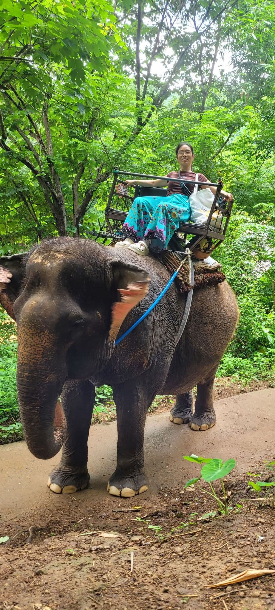 Riding an elephant through the jungle in Thailand